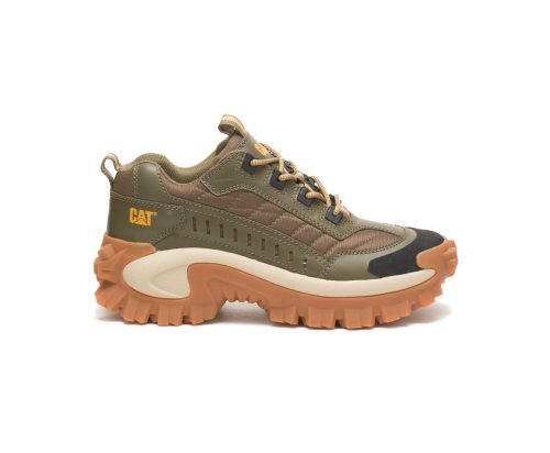 Zapatos Casuales Caterpillar CAT Intruder Shoe Hombre Verde Oliva Oscuro Marrones | CAT-460BA