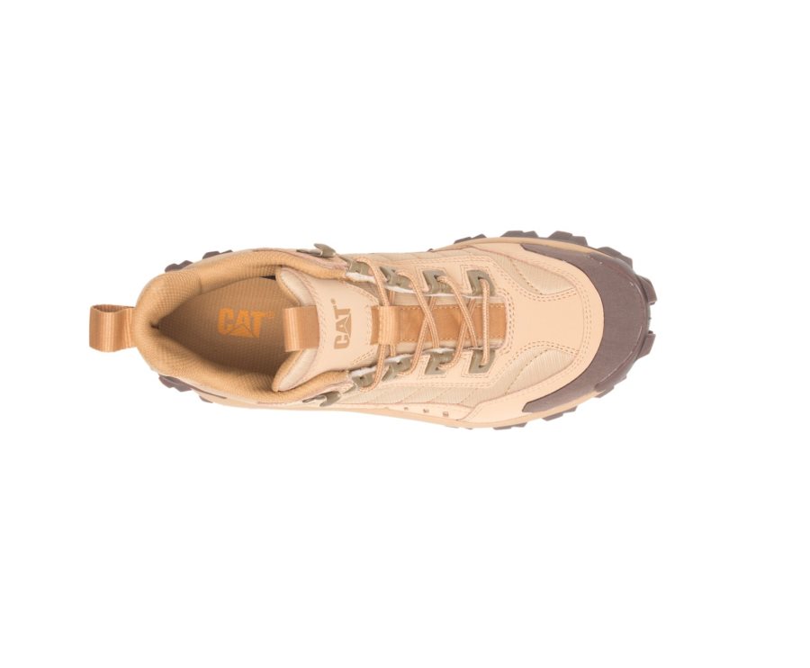 Zapatillas Caterpillar CAT Intruder Mid Hombre Marrones | CAT-913DL