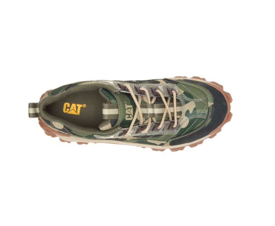 Zapatos Casuales Caterpillar CAT Intruder Shoe Hombre Camuflaje | CAT-019HG