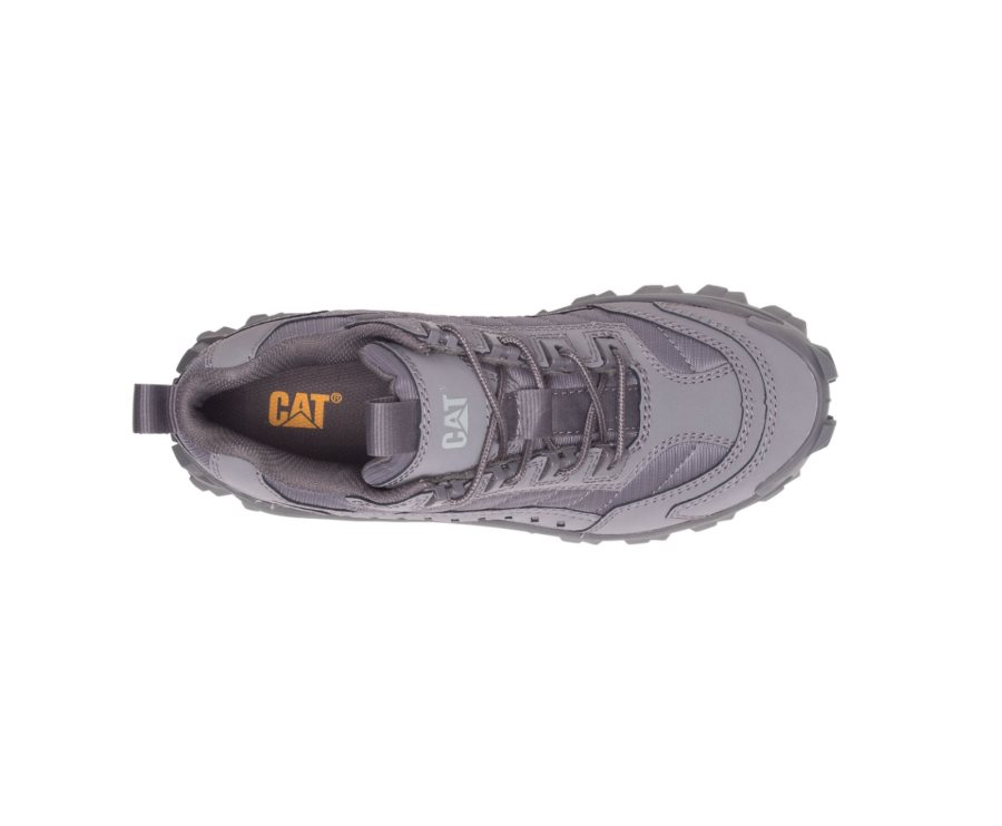 Zapatos Casuales Caterpillar CAT Intruder Shoe Hombre Gris | CAT-078MU