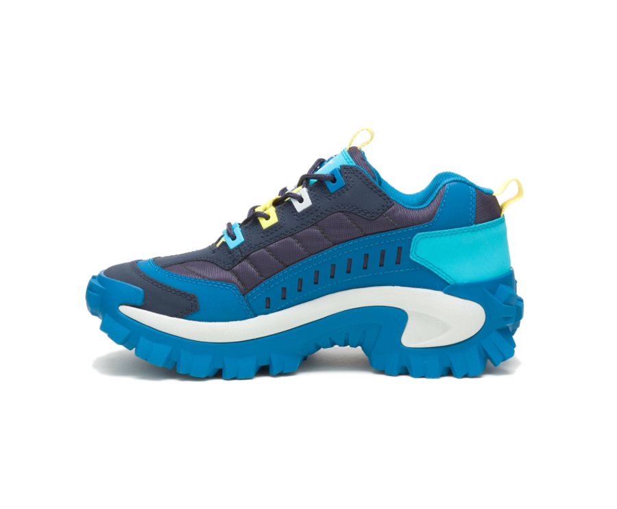 Zapatos Casuales Caterpillar CAT Intruder Shoe Mujer Azul Marino Azules | CAT-234VG