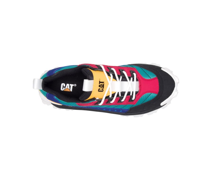 Zapatos Casuales Caterpillar CAT Intruder Shoe Mujer Negras Multicolor | CAT-504TE