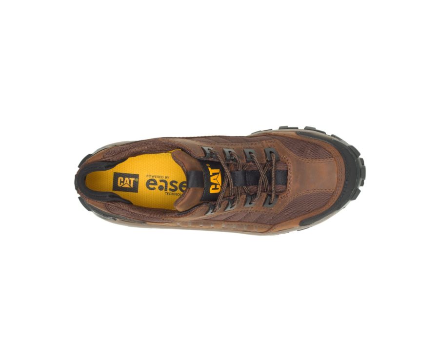 Zapatos De Seguridad Caterpillar CAT Invader Steel Puntera Hombre Marrones Oscuro | CAT-637UT