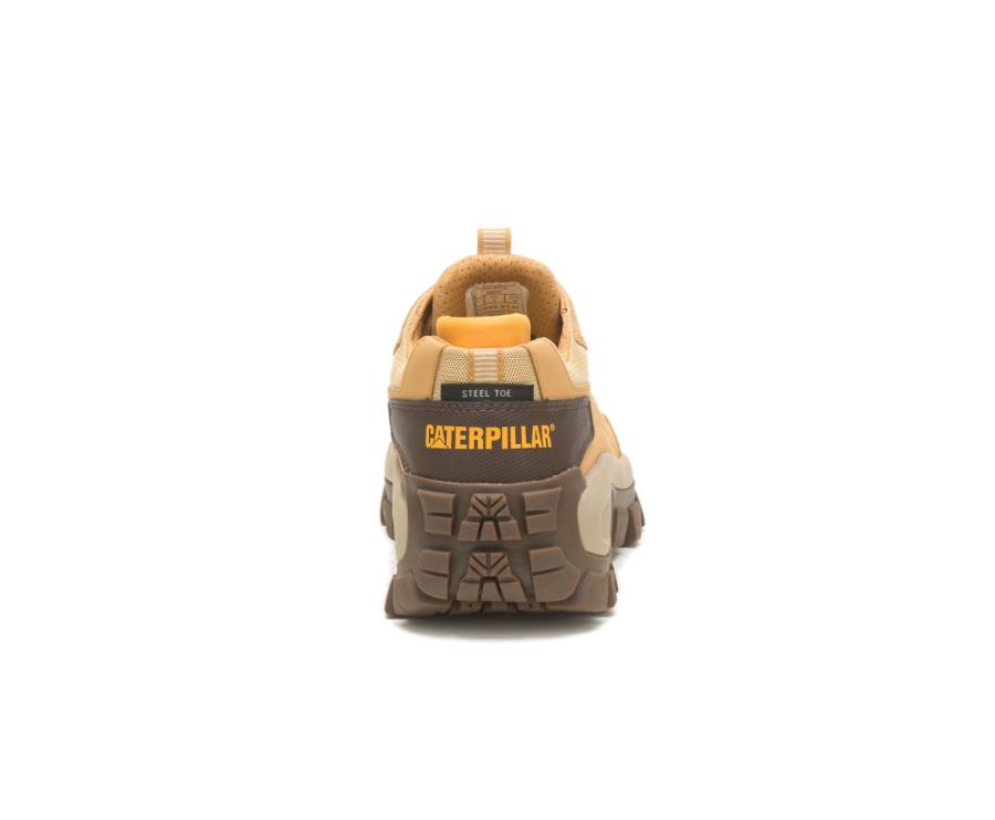 Zapatos De Seguridad Caterpillar CAT Invader Steel Puntera Hombre Marrones Amarillo | CAT-807KO